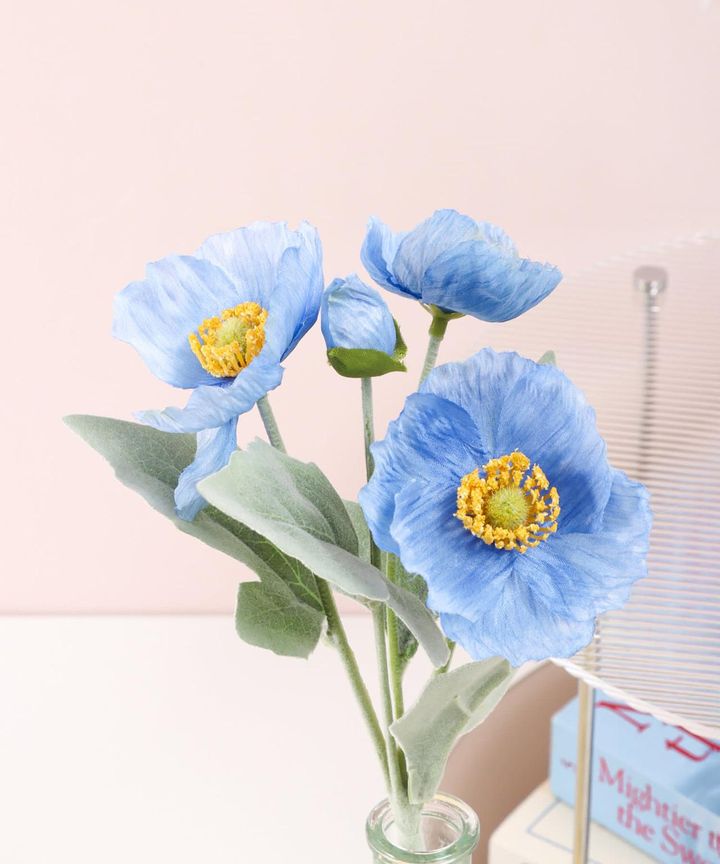 画像3: 出典：3COINS