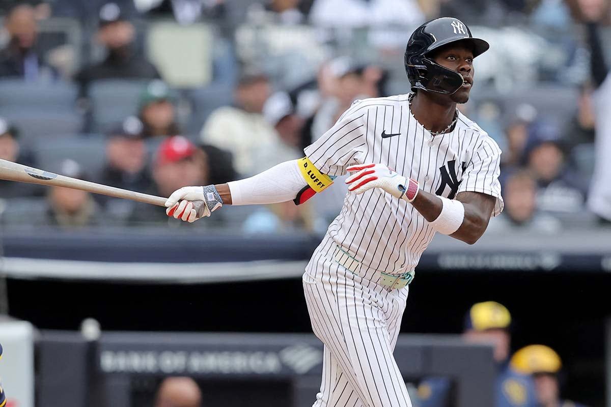 ワンピース× Absolutely ridiculous フットガード チザム アスリートのためのAbsolutely Ridiculous®イノベーション