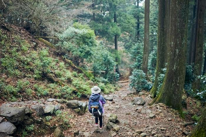 下山中の登山者