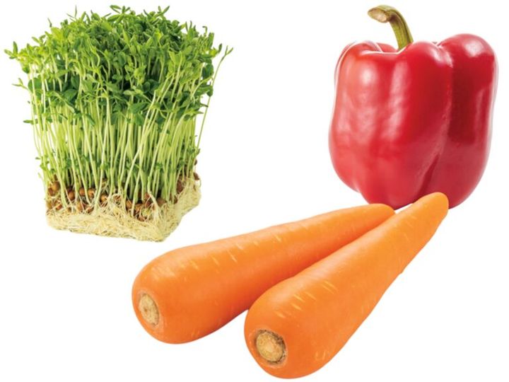 ダイエット中の免疫を守る「ビタミンACE」