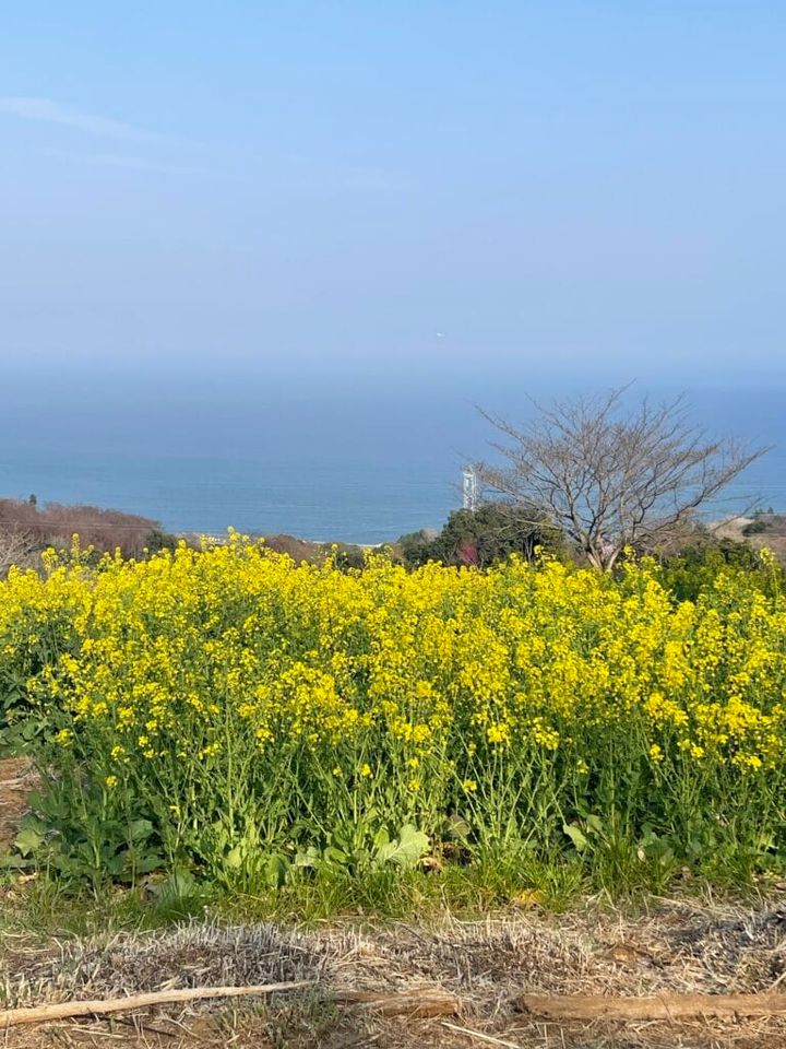 一夜城 yoroizukafarm