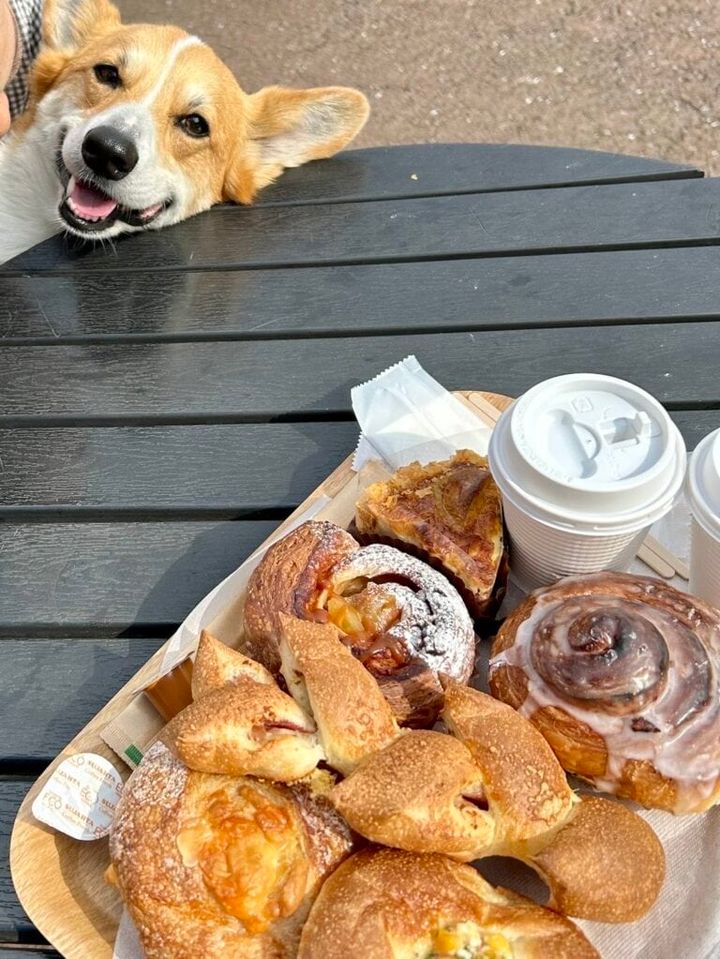 一夜城 yoroizukafarm