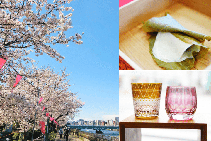 江戸時代から続く桜を愛でながら♪ 隅田川沿いから両国へ、墨田エリア満喫さんぽ