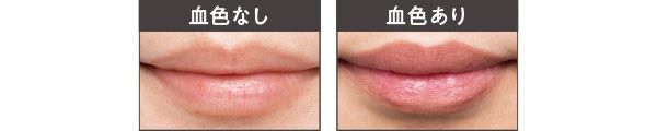 全色塗り比べ付き（血色なし、血色あり）