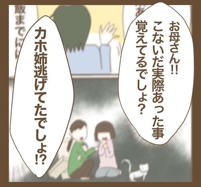 里帰り出産したら実姉がしんどかった件_11話