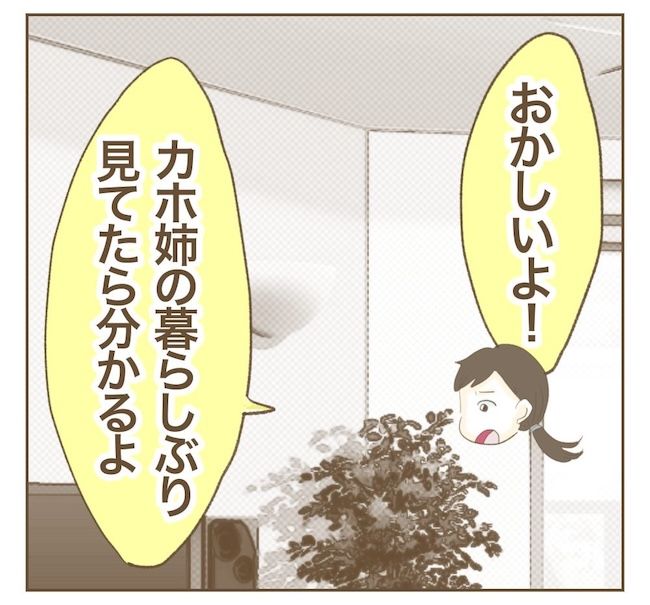 里帰り出産したら実姉がしんどかった件_11話