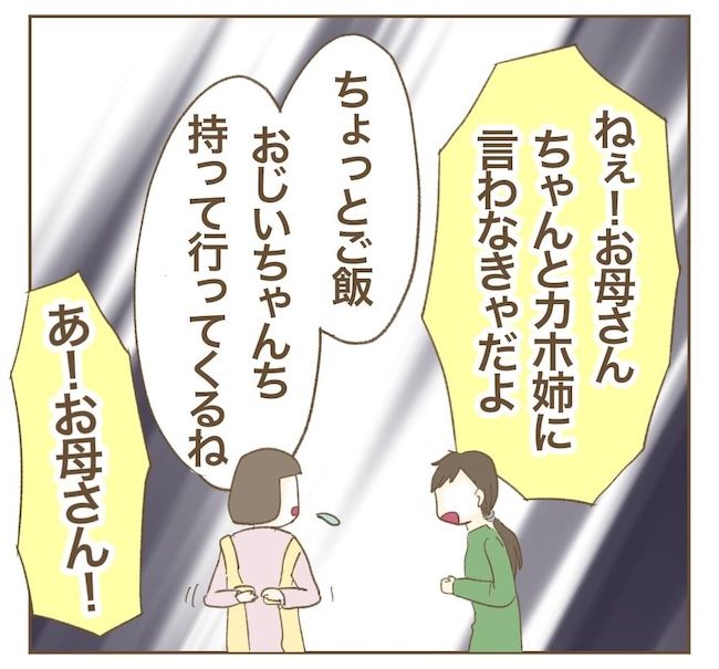 里帰り出産したら実姉がしんどかった件_11話