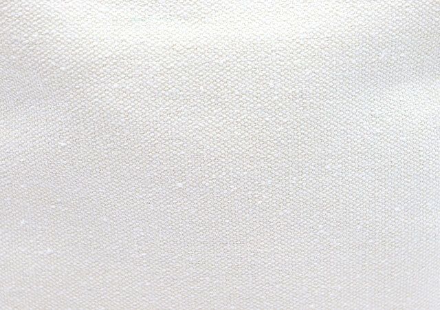 ライオンコーヒーポーチ付録レビューキャンバス風