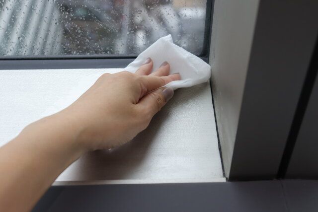 ダイソーのアルコール20％除菌大判ウェット、極厚、20枚（ブラックサンダー）4