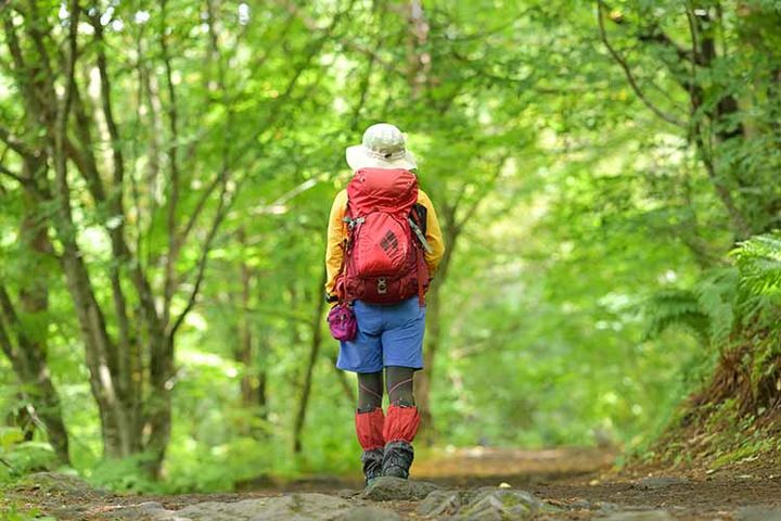 ハイキングをする女性