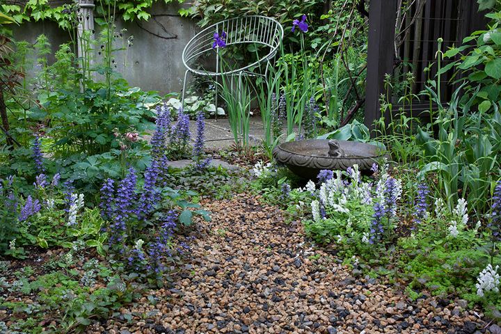 アジュガとタツナミソウ