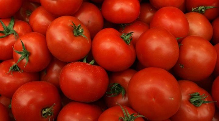 家でトマトを一度も食べたことがなかった28歳スター、イタリアのトマトに仰天！「今はおやつとして食べてる」