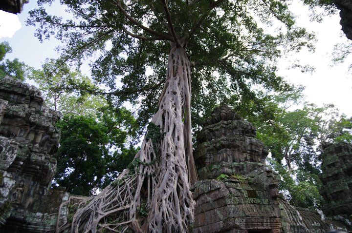 一度は見てみたい絶景！世界遺産アンコール遺跡群へ。リゾートホテルやクルーズ船観光も
