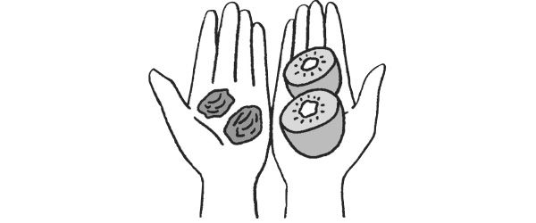 果物、ドライフルーツ