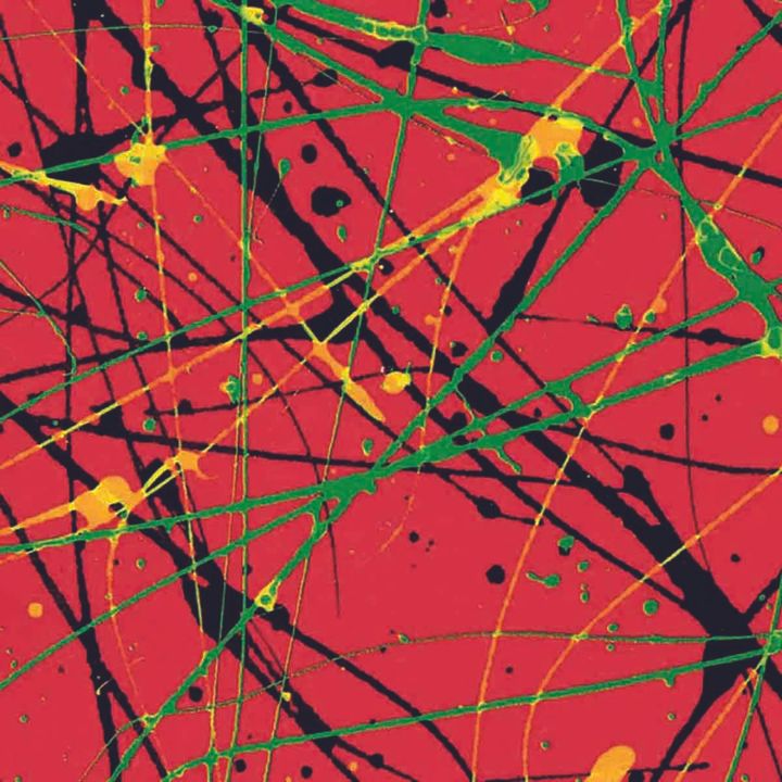 世に万葉の花が咲くなり