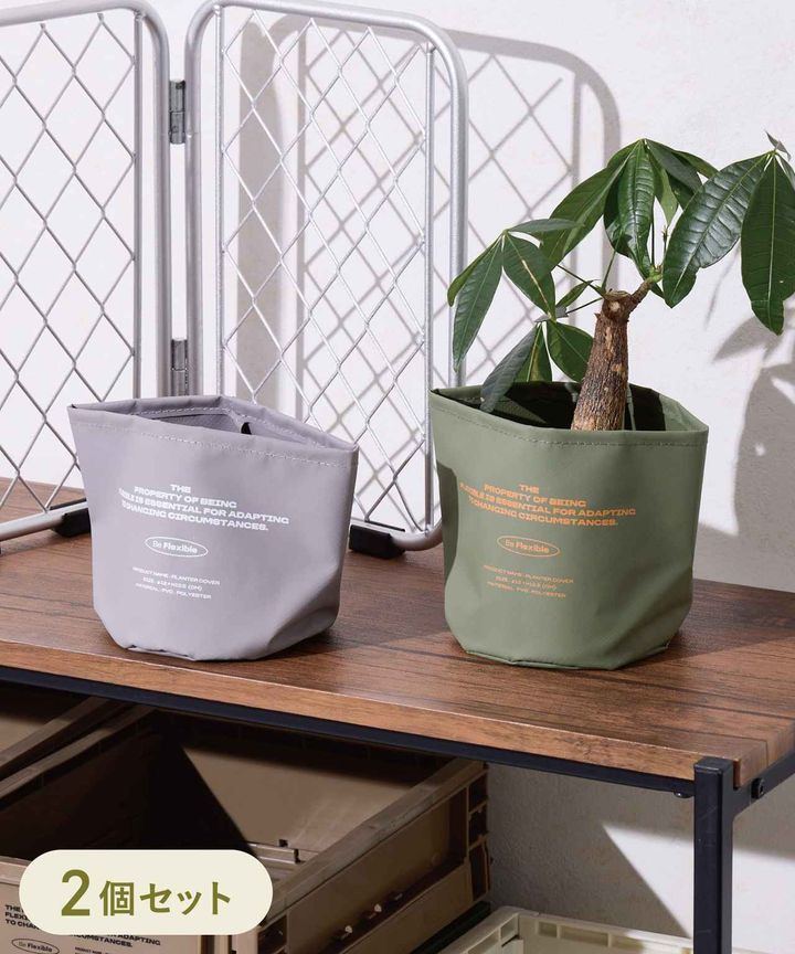 画像1: 出典：3COINS