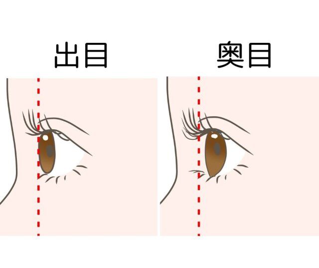 出目 奥目 横から見た図 イラスト