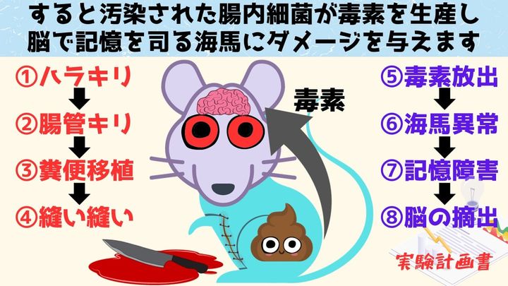 腸内細菌の出す毒素が脳にダメージを与えていた