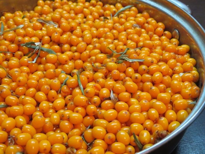 栄養豊富なシーベリー