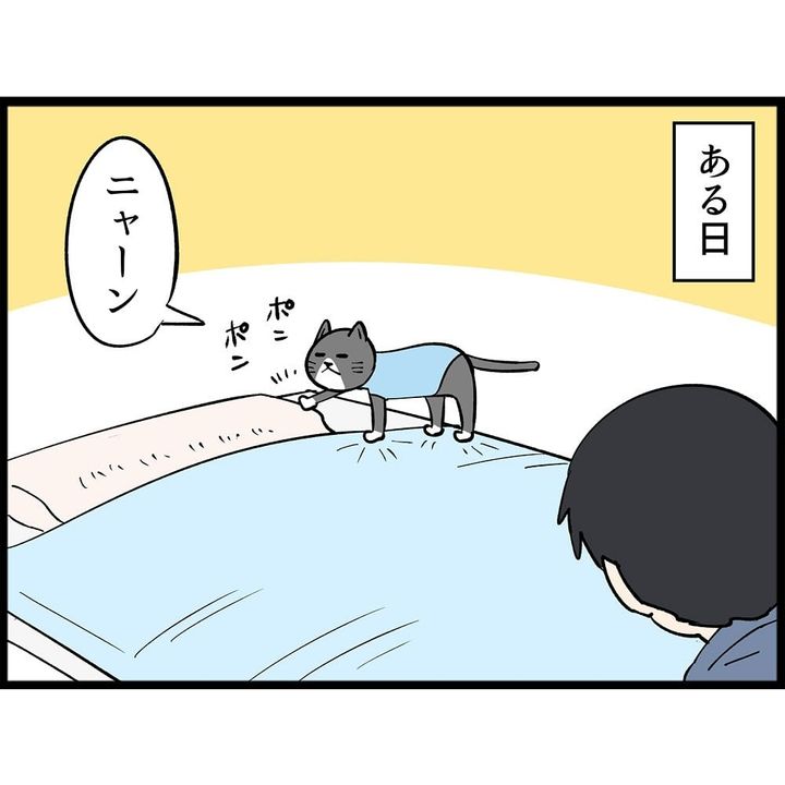 布団に入りたい愛猫について描いた漫画のカット（NOBOさん提供）