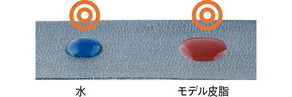 10：リサージ 水→◎ モデル皮脂→◎