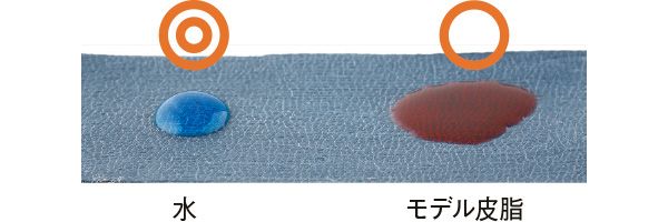 09：ディセンシア 水→◎ モデル皮脂→○