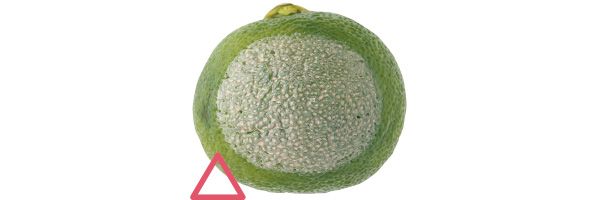 04：クリニーク 毛穴は隠せる？→△