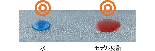 08：シュウ ウエムラ 水→◎ モデル皮脂→◎