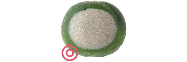 02：アルマーニ ビューティ 毛穴は隠せる？→◎