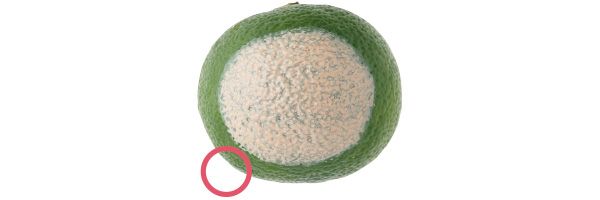 03：エスプリーク 毛穴は隠せる？→○