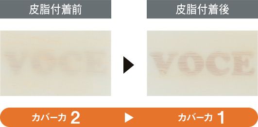 10：リサージ 【カバー力】2→1