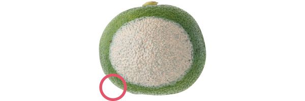 07：ジバンシイ 毛穴は隠せる？→○