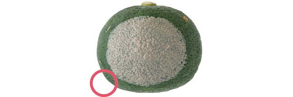 10：リサージ 毛穴は隠せる？→○