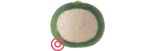 05：ケイト 毛穴は隠せる？→◎