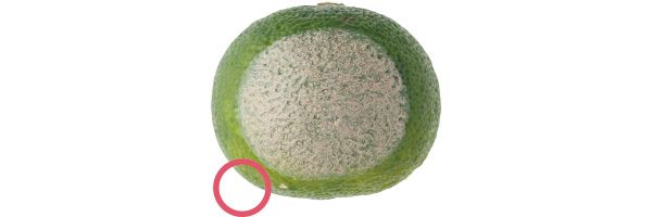 01：RMK 毛穴は隠せる？→○