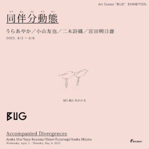 『同伴分動態』のフライヤー