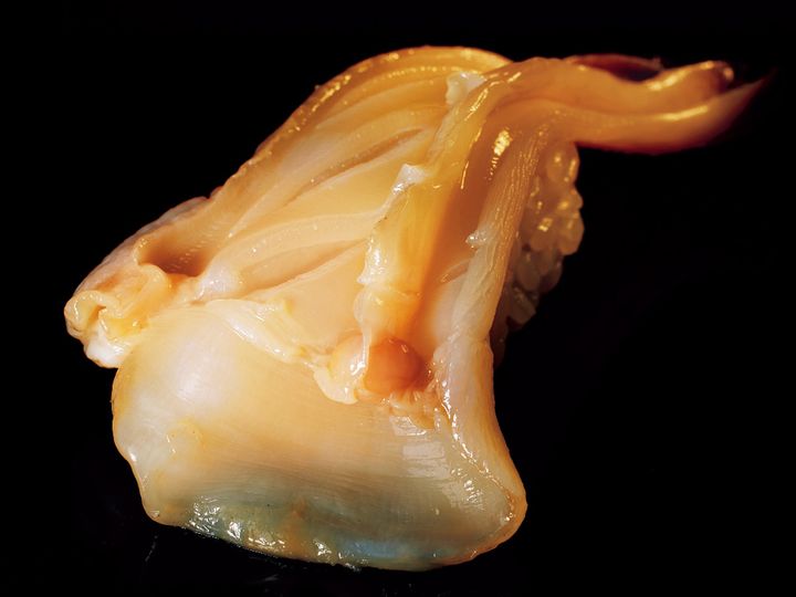 銀座『鮨 杉澤』のみる貝