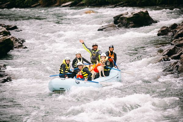 知らないと損！愛犬と一緒に遊べるアウトドア・アクティビティ4選