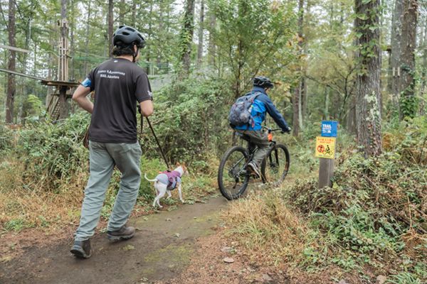 知らないと損！愛犬と一緒に遊べるアウトドア・アクティビティ4選