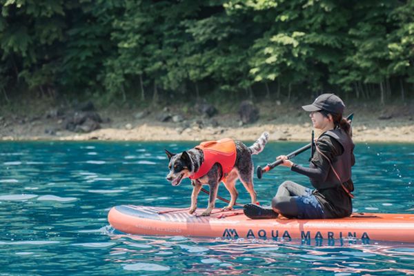 知らないと損！愛犬と一緒に遊べるアウトドア・アクティビティ4選