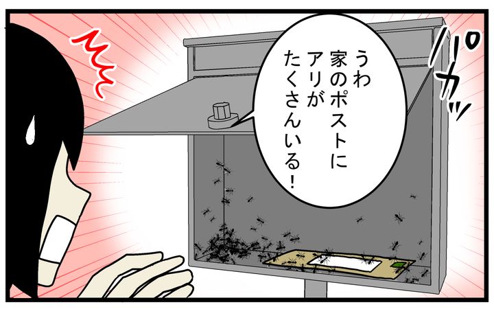 自分でも作れる！ 天然由来の害虫対策アイテム「ハッカスプレー」を使ってみたところ…!?【こどもと見つけた小さな発見日誌 Vol.83】