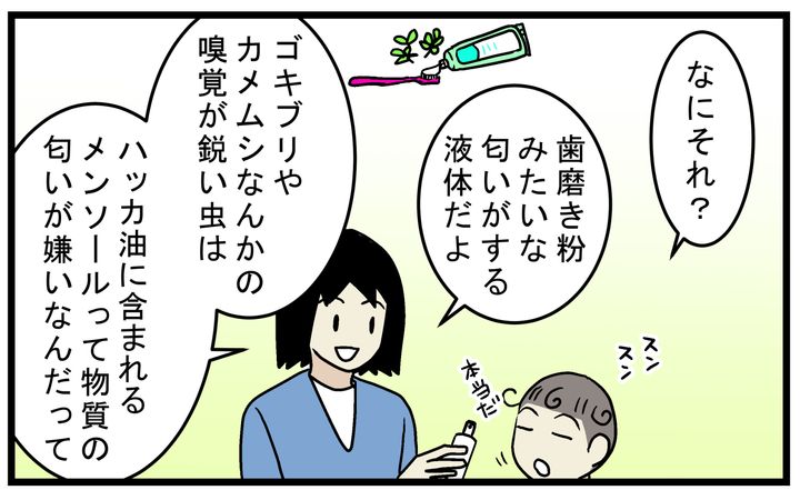 ミントやハッカの成分が虫よけに良いと聞いていた