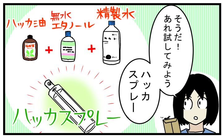 ハッカスプレーを作ってみた