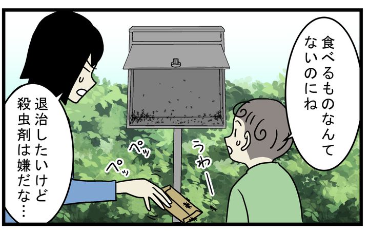 ポストを開けたら、中にアリが大量にいた