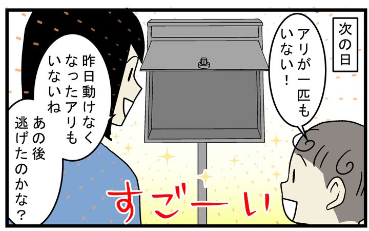 ポストのアリはキレイにいなくなった
