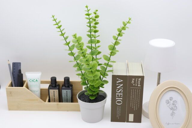 ダイソー グリーンポット（ユーカリ）