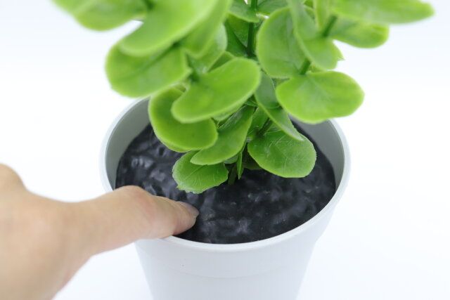 ダイソー グリーンポット（ユーカリ） 土 質感