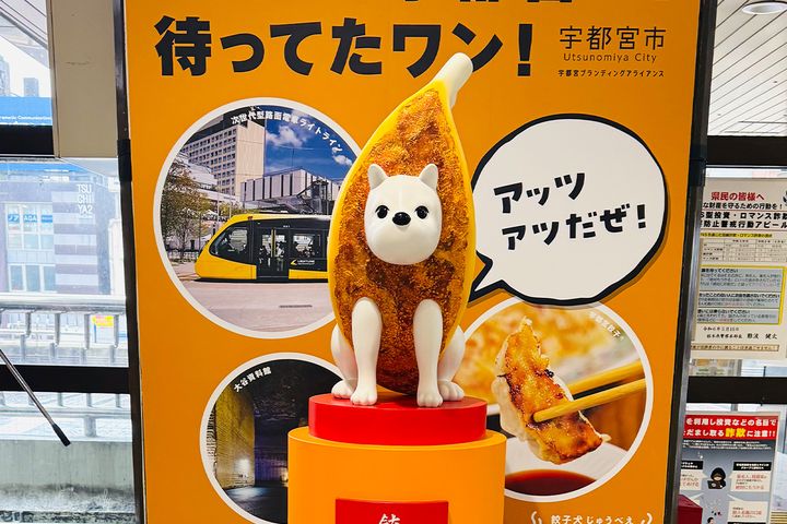 これが「餃子犬じゅうべえ」だ！