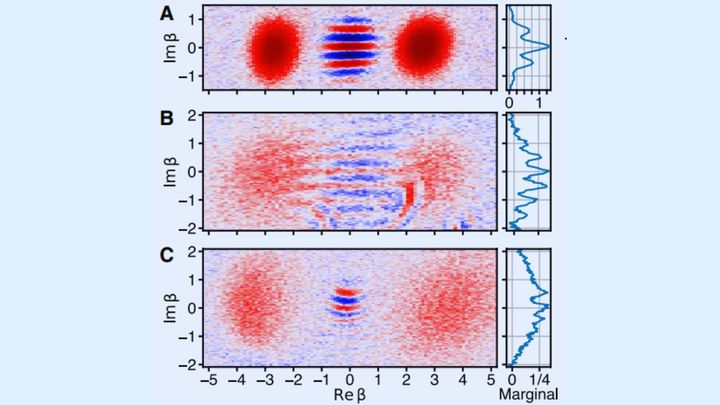 熱いシュレーディンガーの猫を作ることに成功
