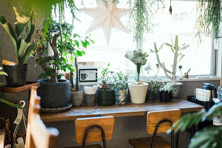 花と緑に囲まれてコーヒーとスイーツを♪二子玉川にあるカフェ併設の花屋さん「入山十百花店（イリヤマジュウヒャッカテン）」